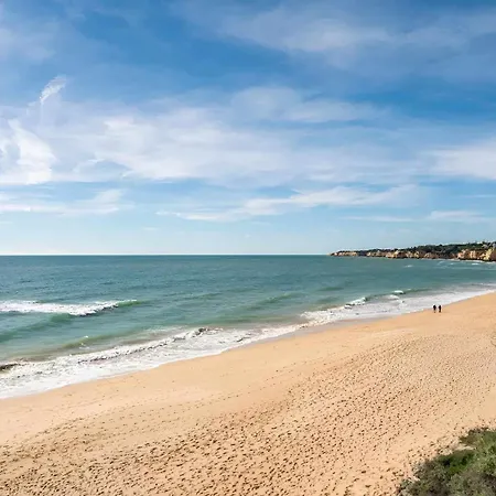 Timeless I * Armação de Pêra